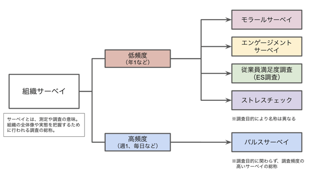 組織サーベイ_画像01